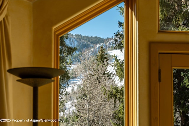333 W Hopkins Ave, Aspen, CO 81611 - details featuring a mountain view