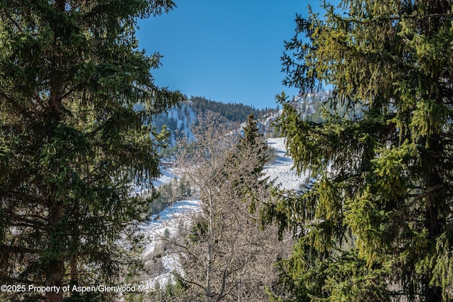 333 W Hopkins Ave, Aspen, CO 81611 - water view with a view of trees