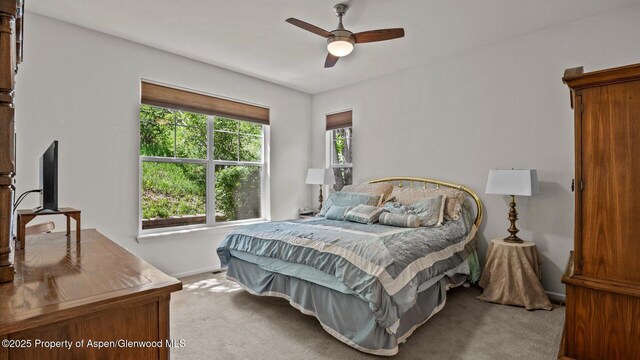 150 Castle Ct, New Castle, CO 81647 - bedroom with carpet floors and a ceiling fan