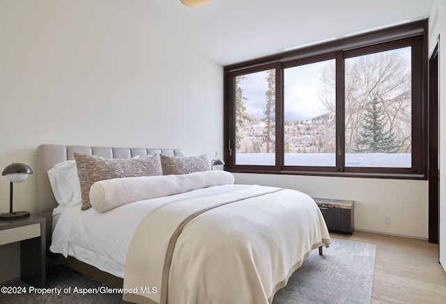 102 Wood Duck Ln, Aspen, CO 81611 - photo 16
