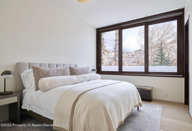 bedroom with radiator heating unit and light hardwood / wood-style floors