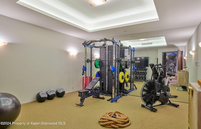 workout room featuring a raised ceiling and carpet