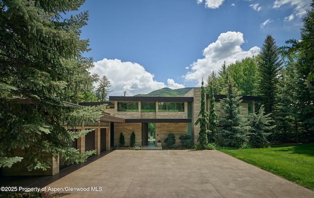 102 Wood Duck Ln, Aspen, CO 81611 - view of front of property with a front lawn and concrete driveway