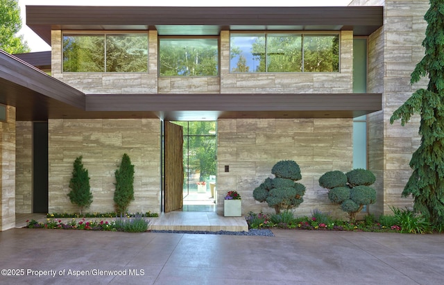 102 Wood Duck Ln, Aspen, CO 81611 - doorway to property