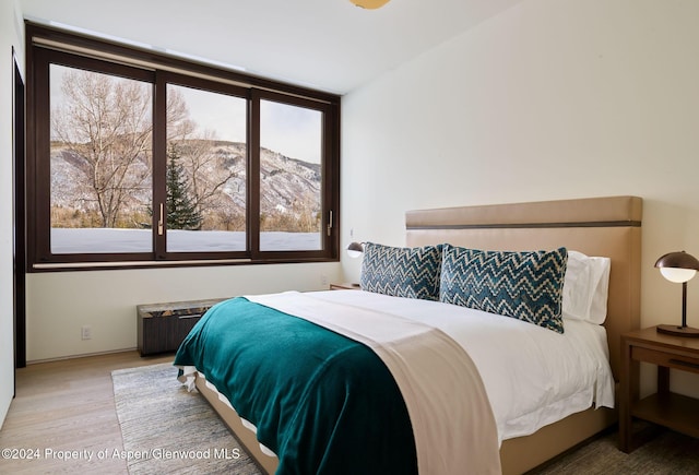 bedroom featuring a mountain view, radiator heating unit, and wood-type flooring