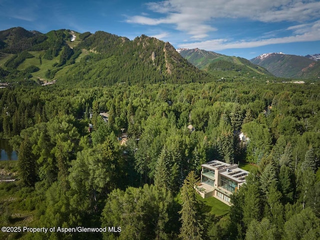 102 Wood Duck Ln, Aspen, CO 81611 - view of mountain background with a heavily wooded area