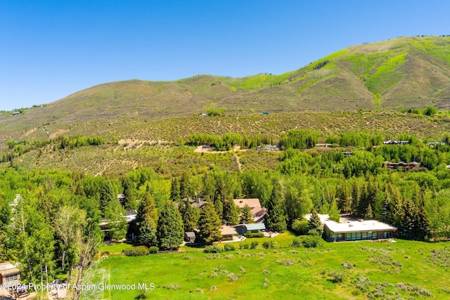 view of mountain feature