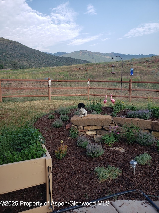 view of yard with fence, a mountain view, and a rural view