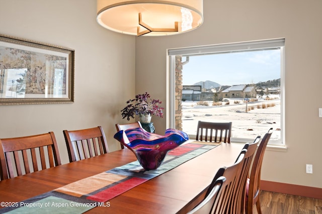 dining area with baseboards and wood finished floors