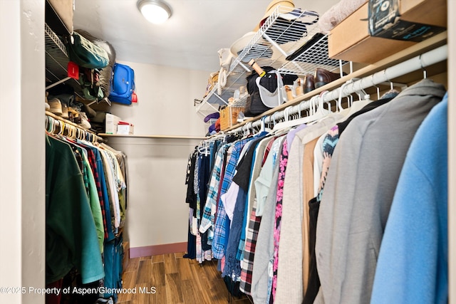 spacious closet featuring wood finished floors