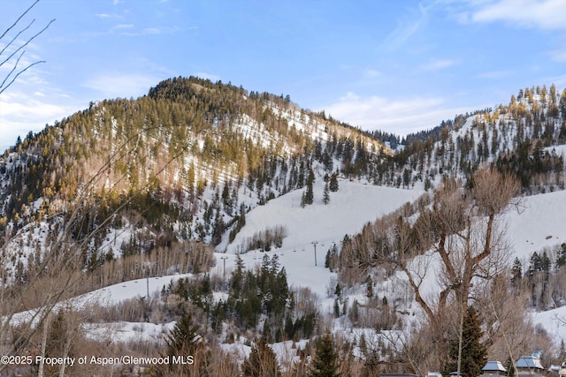 306 S Garmisch St Unit A, Aspen, CO 81611 - photo 28