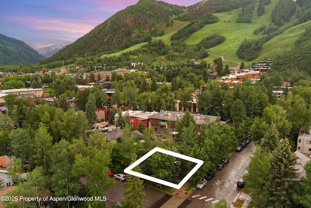 306 S Garmisch St Unit A, Aspen, CO 81611 - photo 33