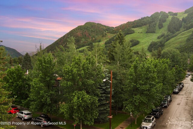 306 S Garmisch St Unit A, Aspen, CO 81611 - photo 29