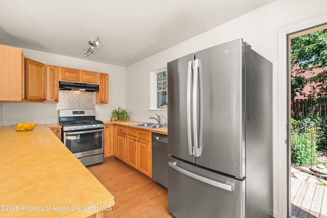 337 Cleveland Pl, Carbondale, CO 81623 - photo 10