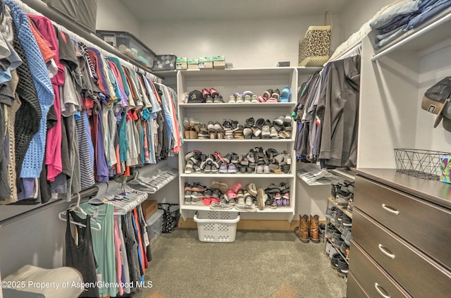 369 N Meadow Dr, Rifle, CO 81650 - spacious closet with carpet floors