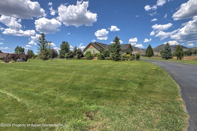 369 N Meadow Dr, Rifle, CO 81650 - view of property hidden behind natural elements featuring a front lawn and a mountain view