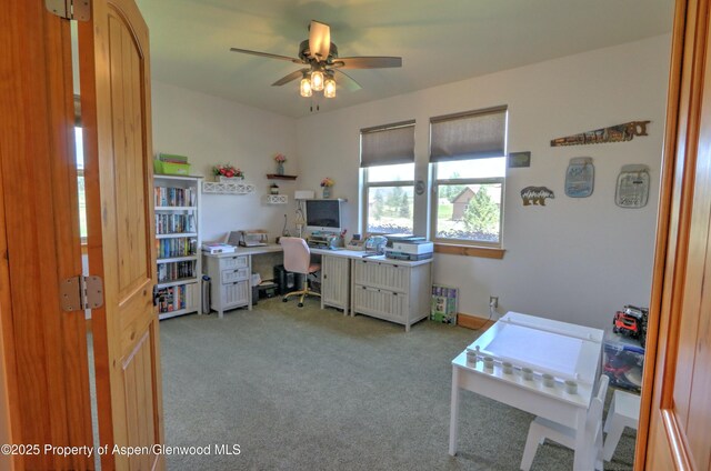369 N Meadow Dr, Rifle, CO 81650 - office space with light colored carpet and a ceiling fan