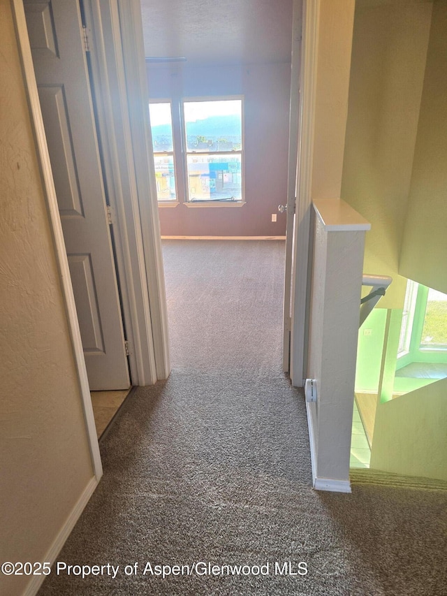 180 E 26th St, Rifle, CO 81650 - corridor featuring carpet and baseboards