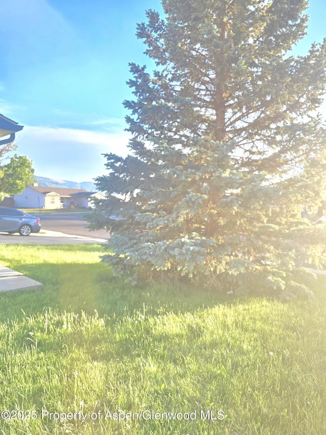 180 E 26th St, Rifle, CO 81650 - view of green lawn