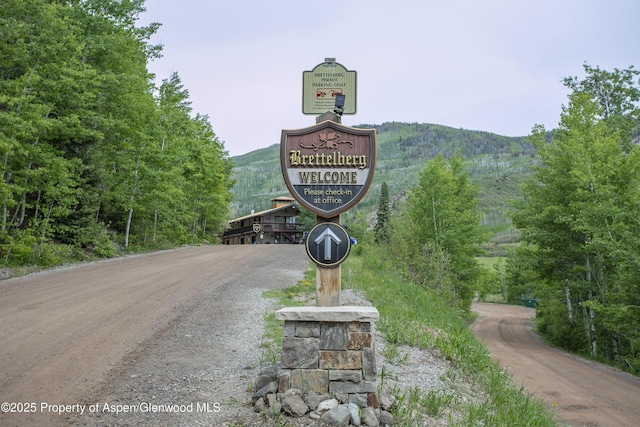 11101 County Road 117 Unit E-5, Glenwood Springs, CO 81601 - exterior view of mountains