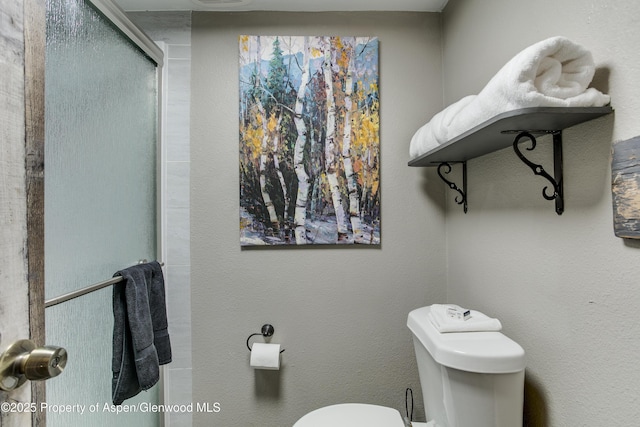 11101 County Road 117 Unit E-5, Glenwood Springs, CO 81601 - full bathroom with toilet and a shower with shower door