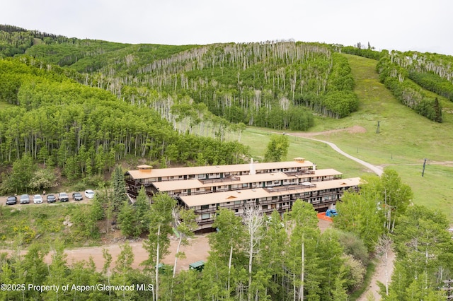 11101 County Road 117 Unit E-5, Glenwood Springs, CO 81601 - drone / aerial view of a forest and a mountainous background