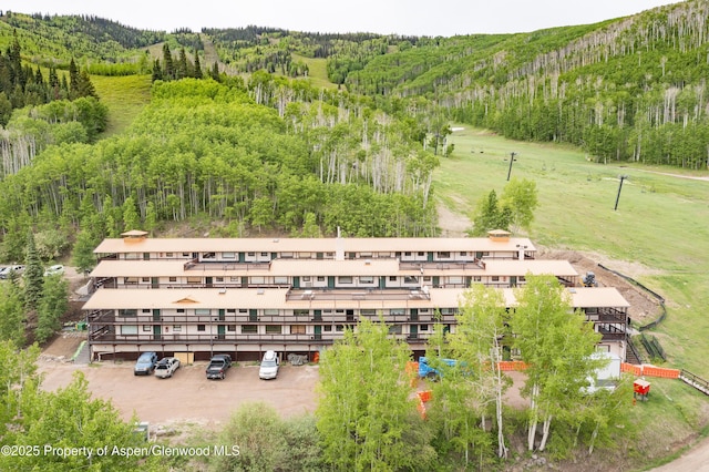 11101 County Road 117 Unit E-5, Glenwood Springs, CO 81601 - bird's eye view of a heavily wooded area and a mountain backdrop