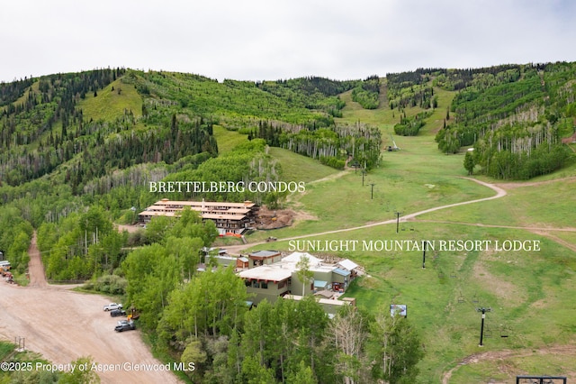 11101 County Road 117 Unit E-5, Glenwood Springs, CO 81601 - mountain view with a forest