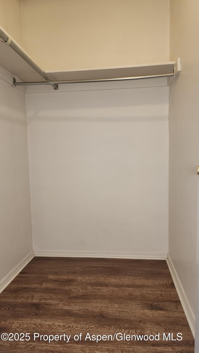 3863 W 6th St, Craig, CO 81625 - spacious closet featuring dark wood-style flooring