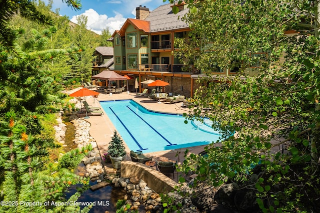 135 Timbers Club Ct Unit C6-Iv, Snowmass Village, CO 81615 - photo 15