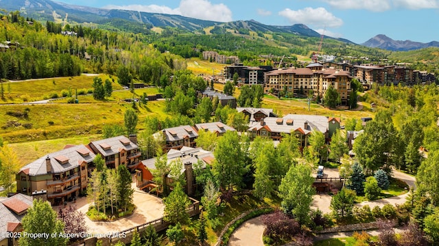 135 Timbers Club Ct Unit C6-Iv, Snowmass Village, CO 81615 - photo 21