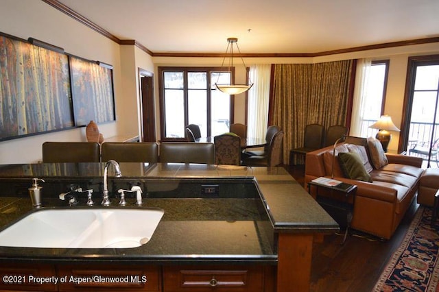 kitchen featuring plenty of natural light, hanging light fixtures, crown molding, and sink