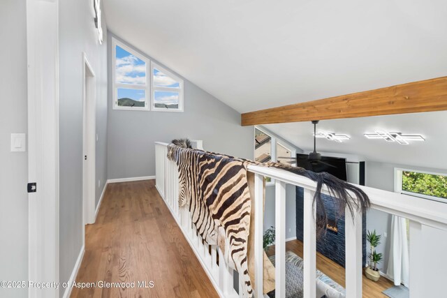 645 Canyon Creek Dr, Glenwood Springs, CO 81601 - photo 16