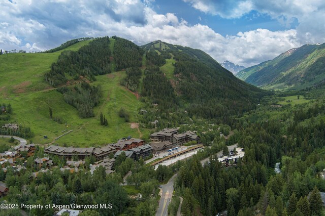 1501 Maroon Creek Rd # 2, Aspen, CO 81611 - view of mountain backdrop with a heavily wooded area