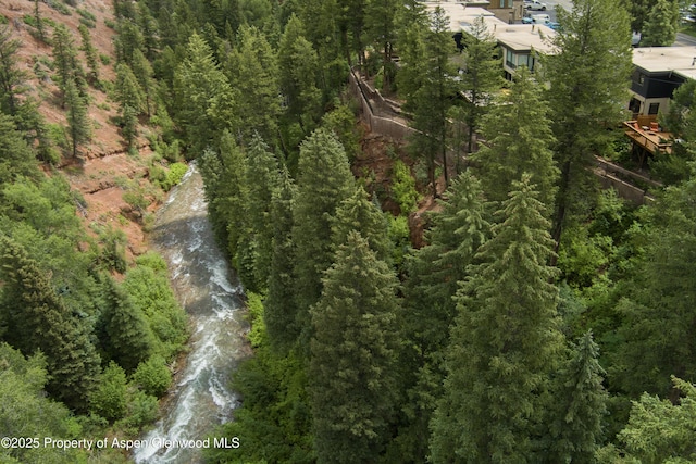 1501 Maroon Creek Rd # 2, Aspen, CO 81611 - aerial view of property's location