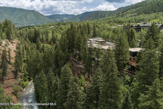 1501 Maroon Creek Rd # 2, Aspen, CO 81611 - mountain view featuring a heavily wooded area