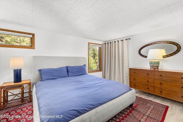 1501 Maroon Creek Rd # 2, Aspen, CO 81611 - bedroom with multiple windows, wood finished floors, and a baseboard heating unit