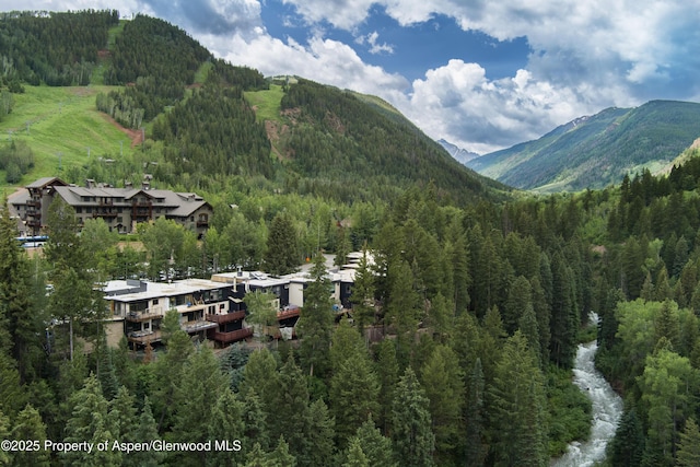 1501 Maroon Creek Rd # 2, Aspen, CO 81611 - view of mountain backdrop featuring a forest