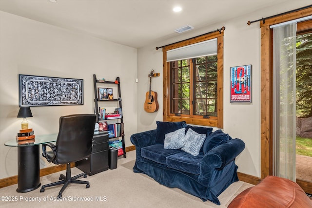 140 Juniper Trl, Carbondale, CO 81623 - photo 24