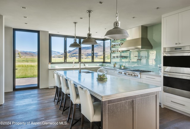 kitchen with white cabinetry, stainless steel appliances, range hood, a mountain view, and a kitchen island with sink