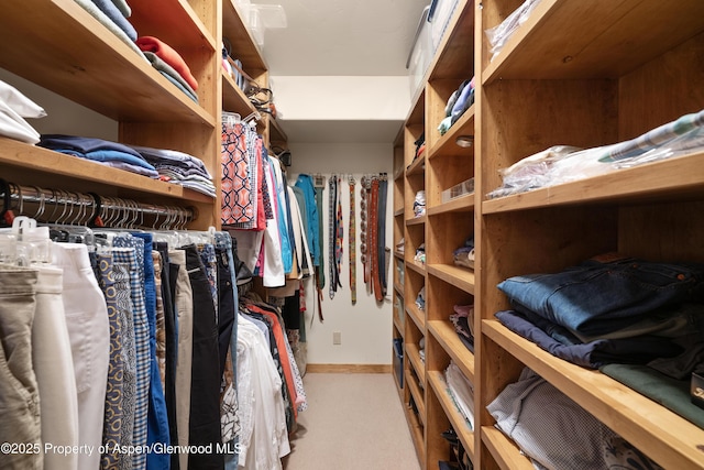 47 Mule Deer Run, Snowmass, CO 81654 - spacious closet featuring carpet flooring