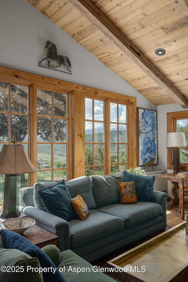 47 Mule Deer Run, Snowmass, CO 81654 - living room featuring wooden ceiling