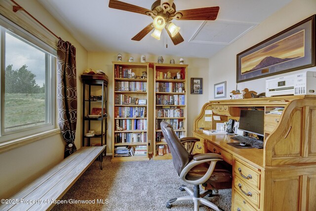 1255 Lecuyer Dr, Craig, CO 81625