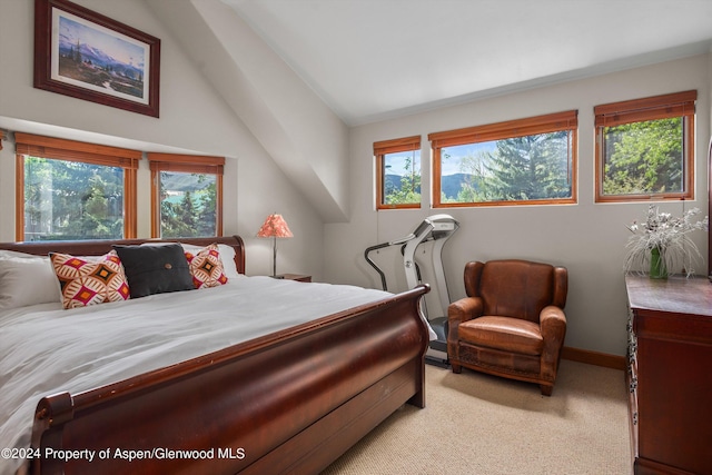 bedroom with multiple windows, light carpet, vaulted ceiling, and baseboards