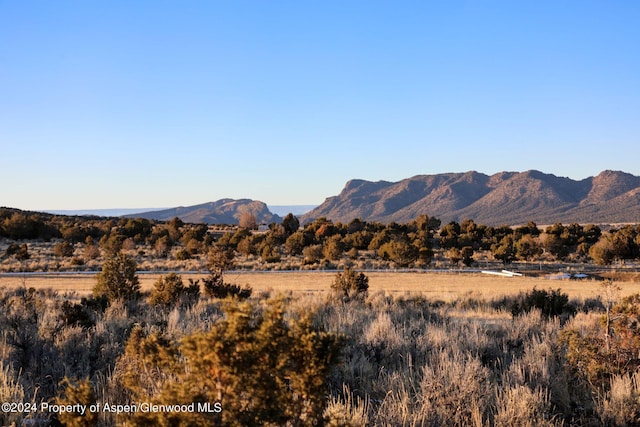 TBDTRACT7 Bostwick Park Rd, Montrose CO, 81401 land for sale