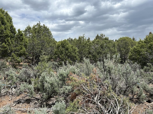 151 Monarch Rd, Glenwood Springs, CO 81601 - photo 4