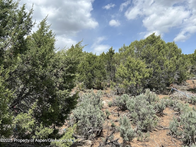 151 Monarch Rd, Glenwood Springs, CO 81601 - photo 3
