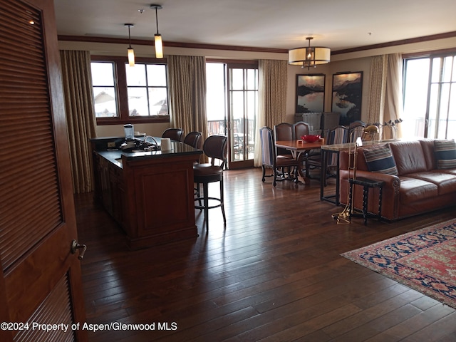 living room with dark hardwood / wood-style flooring and plenty of natural light