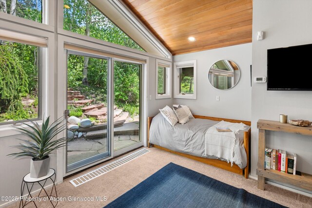 100 Terrace Ln, Snowmass Village, CO 81615 - photo 23