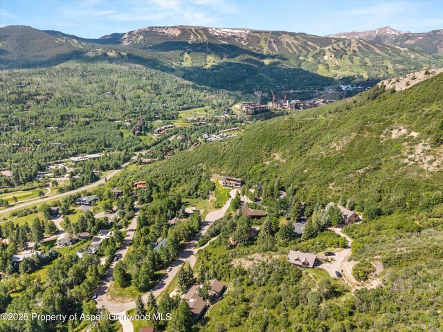 100 Terrace Ln, Snowmass Village, CO 81615 - photo 43